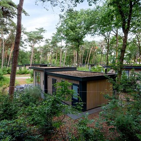 Forestlodge In Het Vechtdal - 5 Persoons Hardenberg Exteriér fotografie
